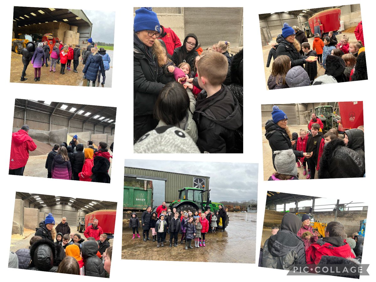 MrsWilliamson1's tweet photo. Thank you so much to Katie @rhetfvci and Fiona from Bonnyhill Farm for helping to bring our learning about dairy farms to life. We absolutely loved our visit. 🐄🥛😁 #farming #LearningAboutOurCommunity https://t.co/VS4HlhcAq7