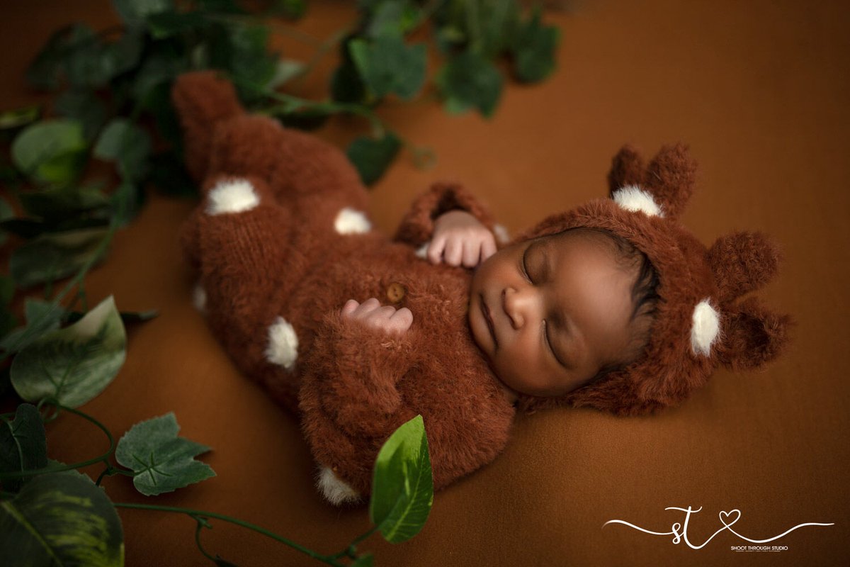 shoot_through's tweet photo. little baby deer.... <3 So Cute
Newborn Photography  ❤ ❤ ❤
Contact https://t.co/JBvznOyHGf to Book your Newborn Photo Shoot |  📷 📷#newbornportraits #2020baby #sandiegobabyshower #sandiego https://t.co/42JJalW5Ea