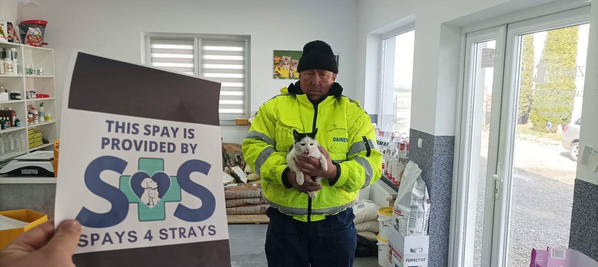 Spays4Strays's tweet photo. Another 5 cats spayed in Radauti today. Thank you to all our supporters and partners who make this possible #rescuecat #spayandneuter #AdoptDontShop https://t.co/vNRcXMOadU