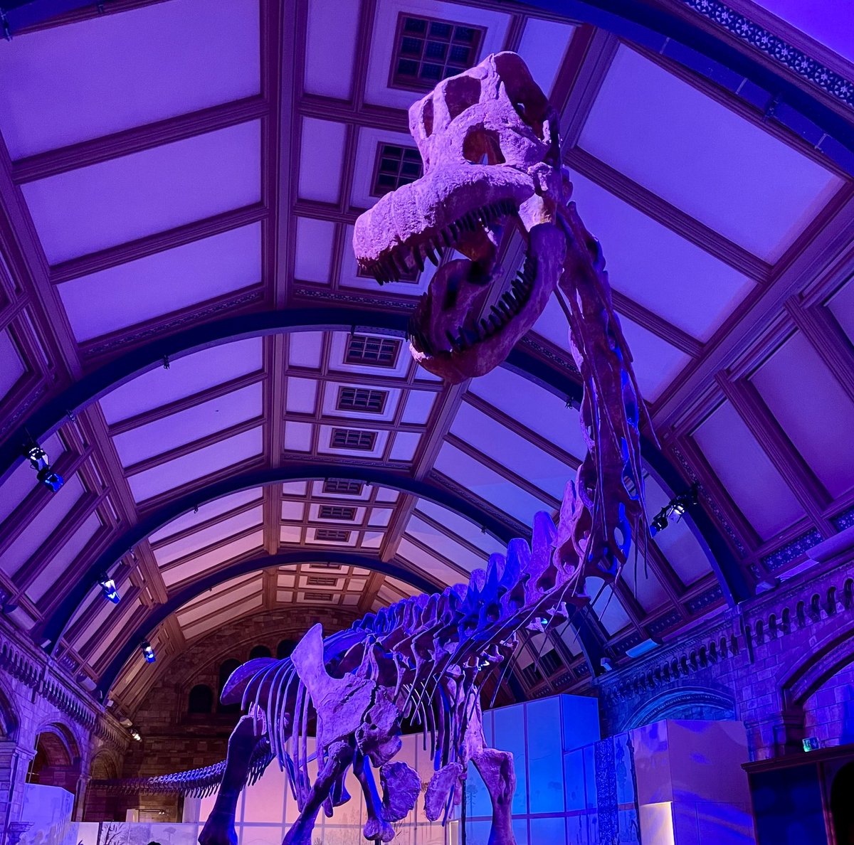 Clare Matterson tweet media