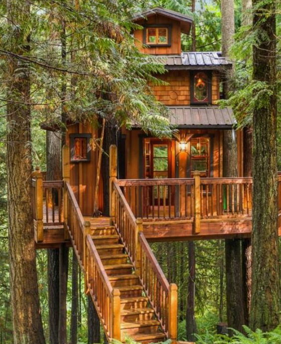 Xmusic123LB's tweet photo. Could you live in a custom luxury tree house surrounded by nature? 🌱🌿 https://t.co/wAkQOSR1kD