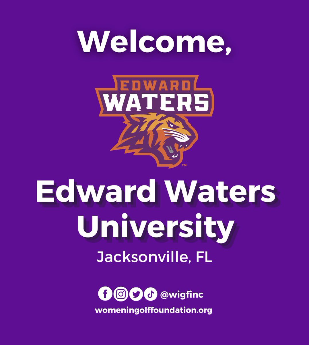 Women In Golf FDN tweet media