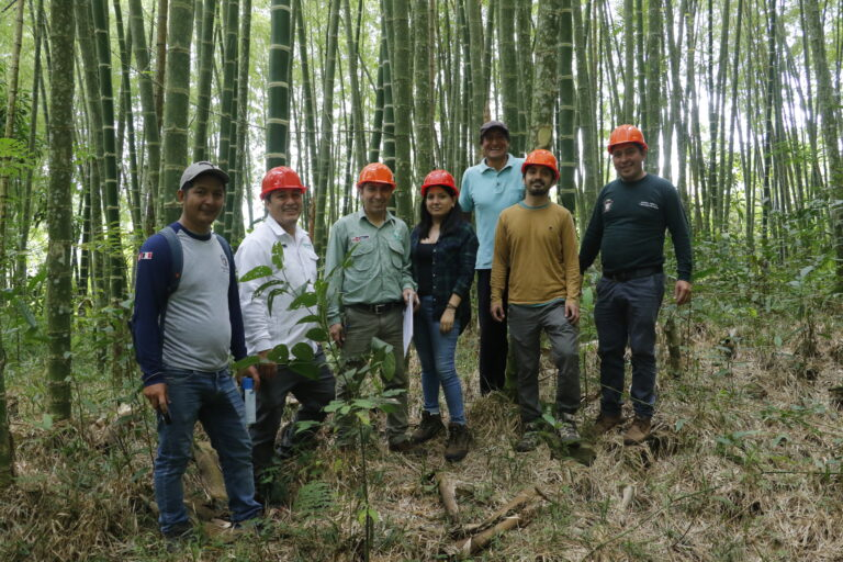 spdaorg's tweet photo. 🌳@OsinforPeru inició orientaciones a agricultores titulares de #CUSAF con el acompañamiento de #AgroFor para garantizar el buen aprovechamiento de estos recursos con un enfoque preventivo.
▶️Conoce más de esta iniciativa en: https://t.co/iouKNZ4KYX
@GGGI_Peru @CIFOR_bosques https://t.co/zLjlHxOjnU