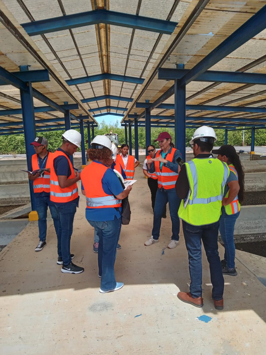 CATHALAC's tweet photo. Actividad dentro del proyecto "Análisis de Viabilidad y Uso Seguro de Aguas Regeneradas y Biosólidos en Agricultura y Restauración de Suelos Degradados en la cuenca del río La Villa", financiado por @senacyt, ejecutado por CATHALAC en colaboración de @utppanama y @pablodeolavide https://t.co/T4dmuUzxa1