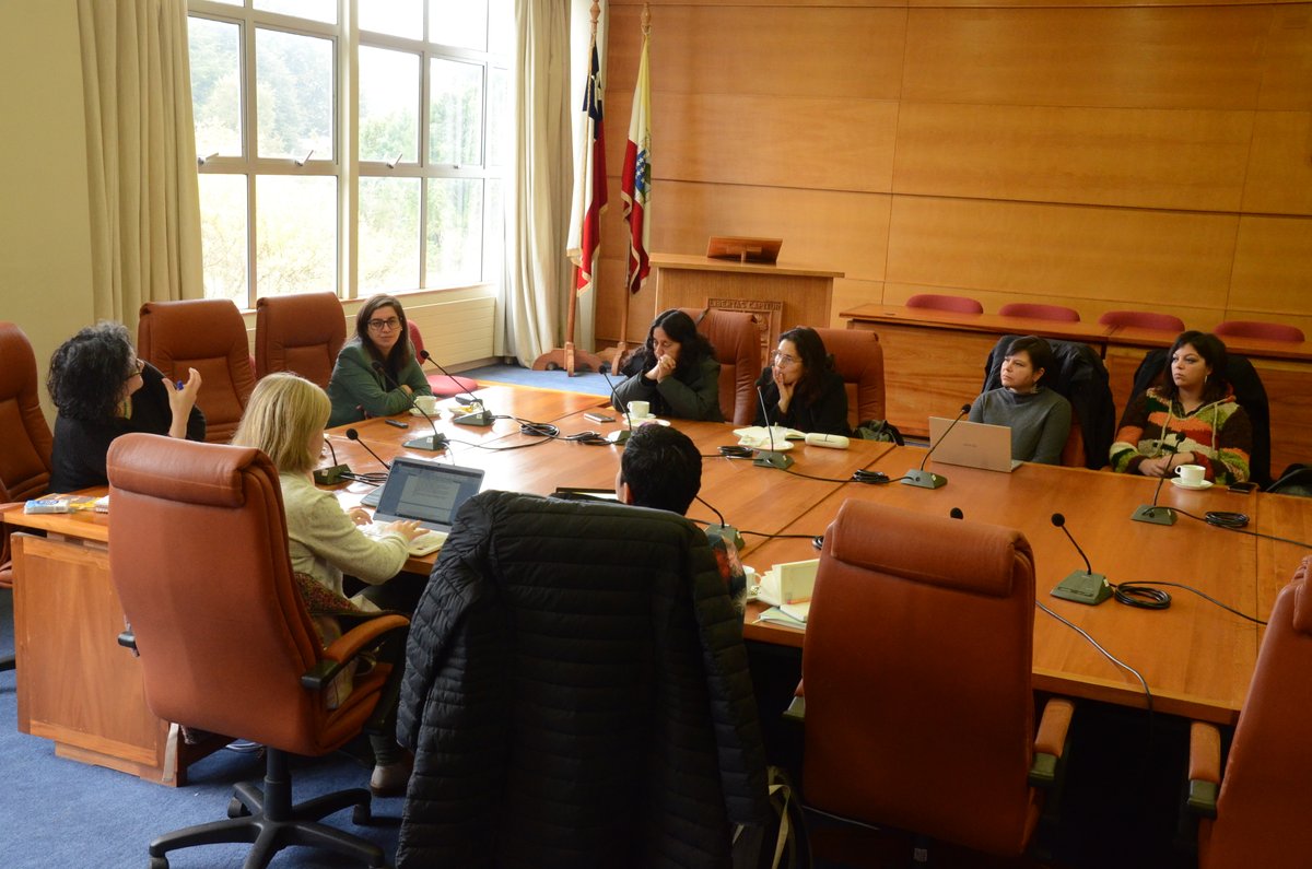 VIDCA_UACh's tweet photo. Una nueva reunión de trabajo sostuvo el Consejo asesor del proyecto #InESGénero de la @UAustraldeChile En el encuentro se analizaron vínculos potenciales con otras instancias institucionales en la materia, así como la integración de campus y sedes al trabajo colaborativo https://t.co/7lALIDrQgj