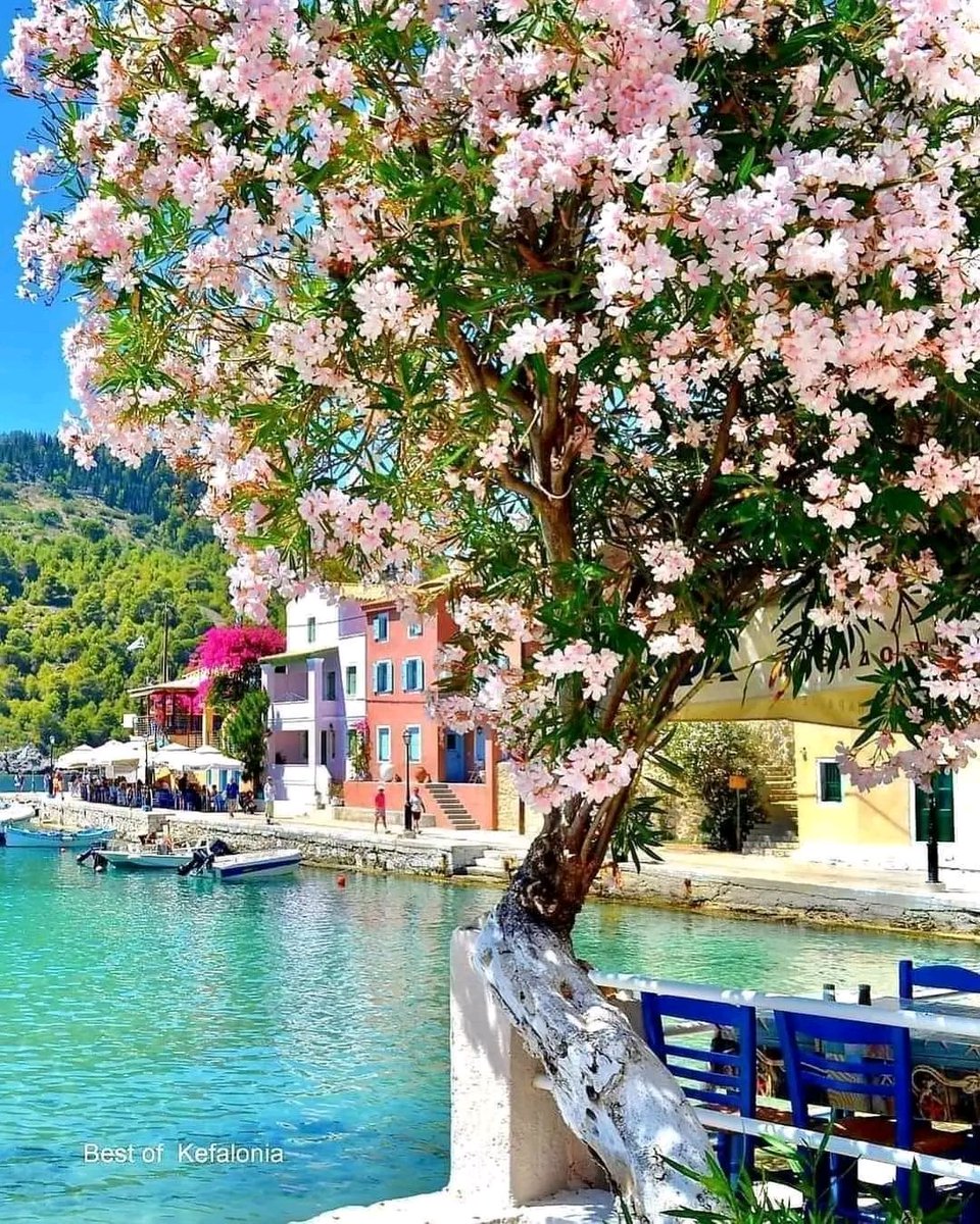 Diogenes of Sinope tweet media