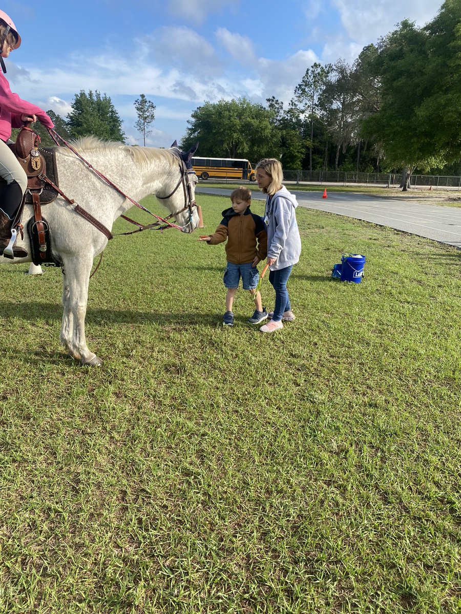 khatfieldPE's tweet photo. Many thanks from@the students @fort_mccoy school to Tammy DePew and Kaycee for bringing their horse Misty to talk about the importance of TRUST and how to achieve it with horses and friends! @pefmc   @fort_mccoy https://t.co/cYsF39RC2P