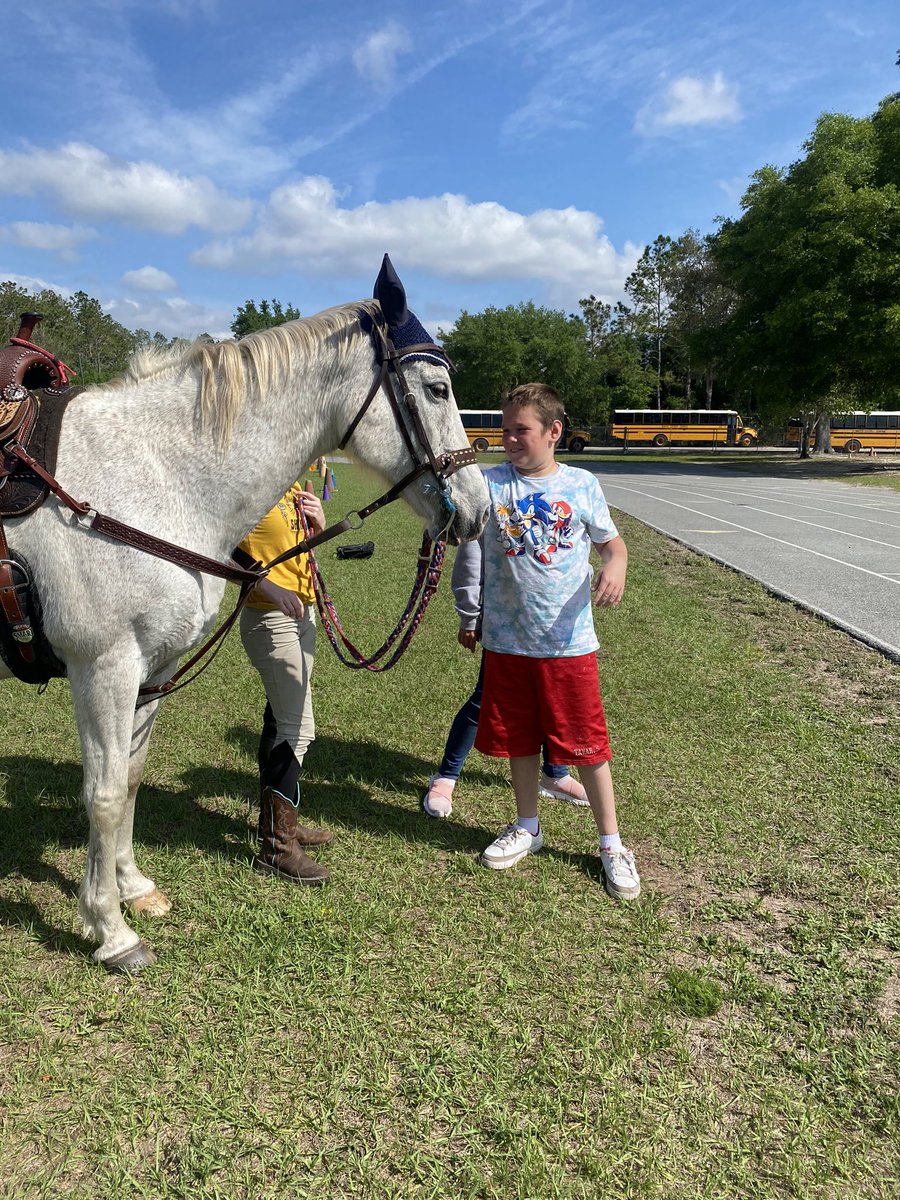 khatfieldPE's tweet photo. Many thanks from@the students @fort_mccoy school to Tammy DePew and Kaycee for bringing their horse Misty to talk about the importance of TRUST and how to achieve it with horses and friends! @pefmc   @fort_mccoy https://t.co/cYsF39RC2P