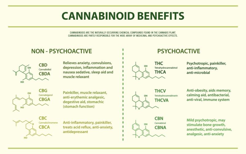 CannabisTrainU's tweet photo. So many benefits! Yet still federally illegal in the USA?
Why do you think that is? https://t.co/BDwYeCpXCQ