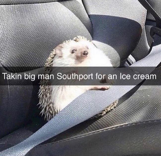 No Context Brits tweet media