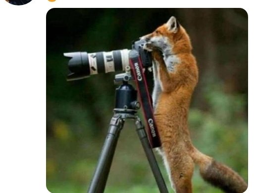 02Silas's tweet photo. Ninga wafa toigandja kushilumnu akulupa😂😂😂 https://t.co/bfyve0szR9