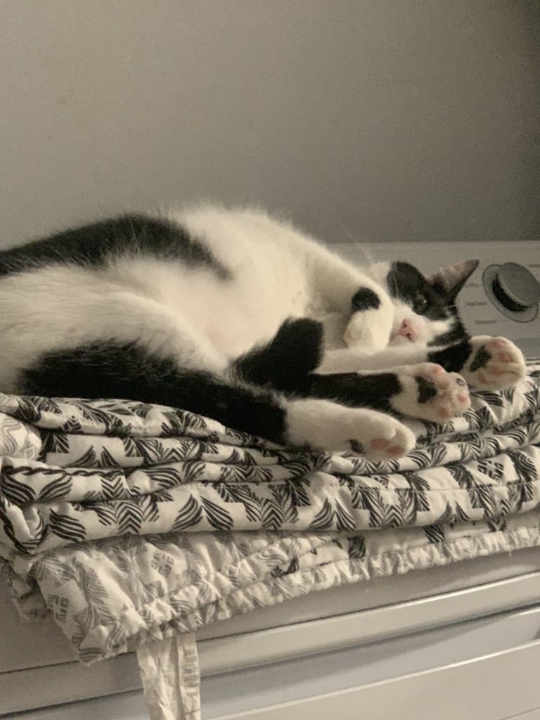 The Core Roleplayers Guild tweet media