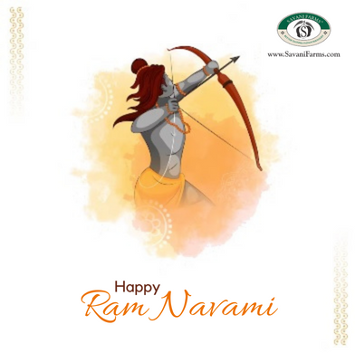 Savanifarm's tweet photo. May the divine grace of Lord Rama be with you and your family on this holy occasion. Happy Ram Navami!
.
.
.
#HappyRamNavami #ramnavami2023 #lordrama #RamNavami #Ayodhya #SavaniFarms https://t.co/9gYNROIqcr