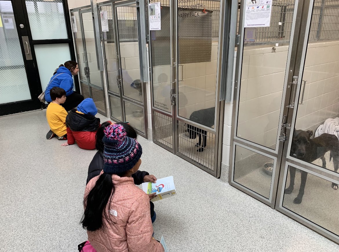 DisneyDolphins's tweet photo. Fourth grade took a field trip to the Humane Society and read to the dogs who are looking for a home! #disneydolphins #Proud2bMPS https://t.co/DysZqOOUEi