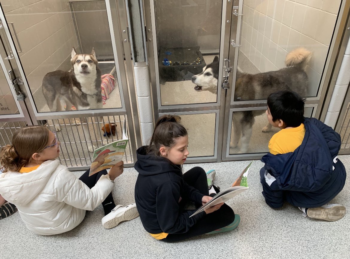 DisneyDolphins's tweet photo. Fourth grade took a field trip to the Humane Society and read to the dogs who are looking for a home! #disneydolphins #Proud2bMPS https://t.co/DysZqOOUEi