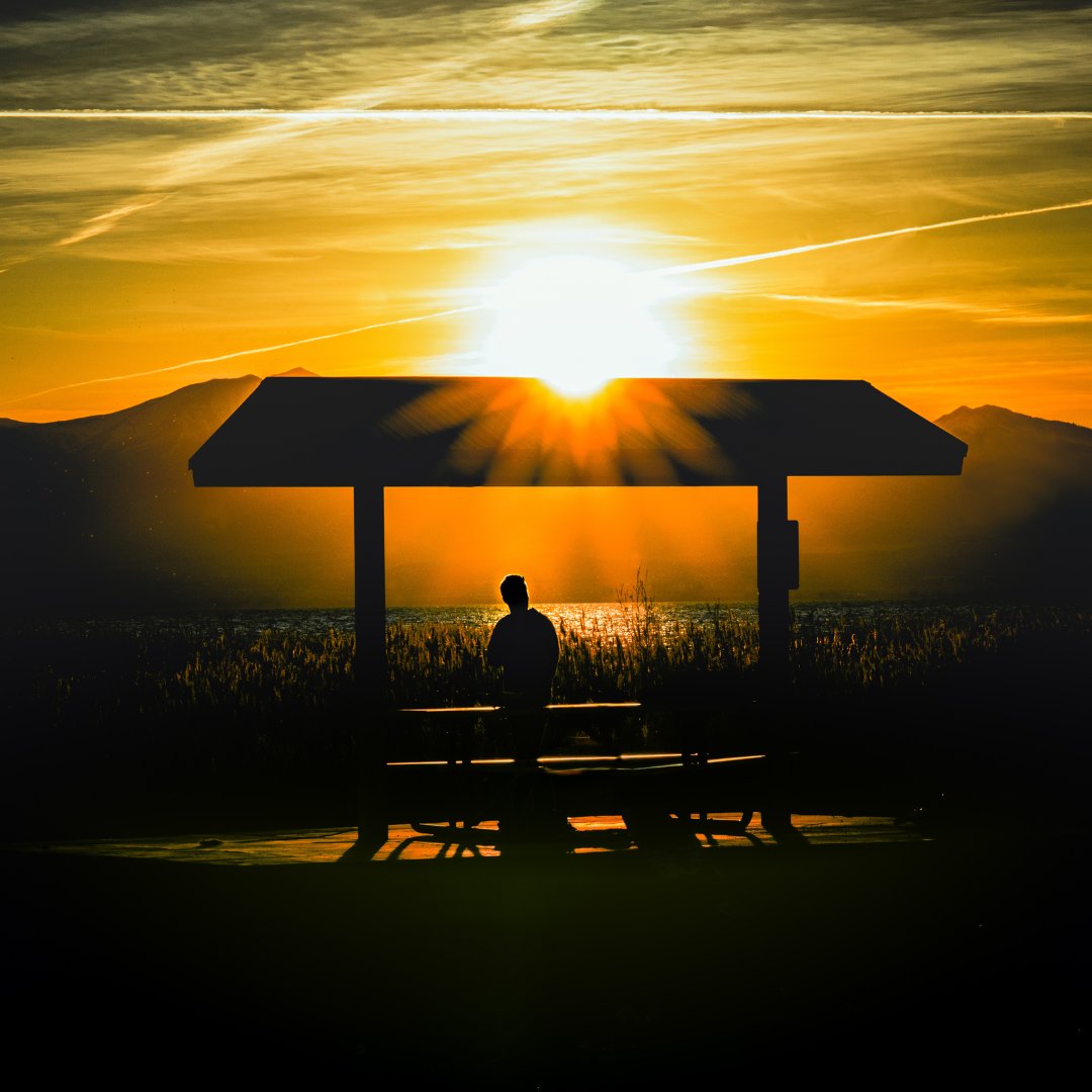 Utah Lake Authority tweet media