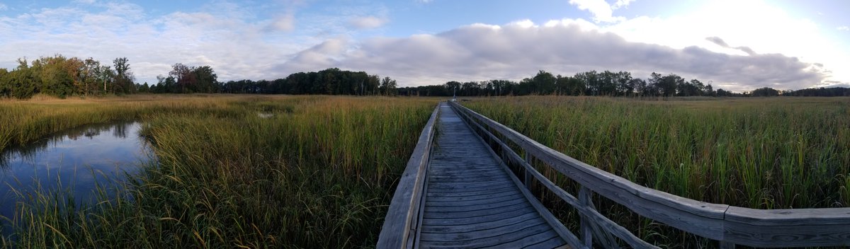 Sean Fettrow tweet media