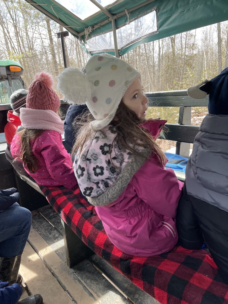 We had so much visiting Mountsberg today and learning all about maple syrup! <a href="/stanne_school/">St. Anne School</a>
