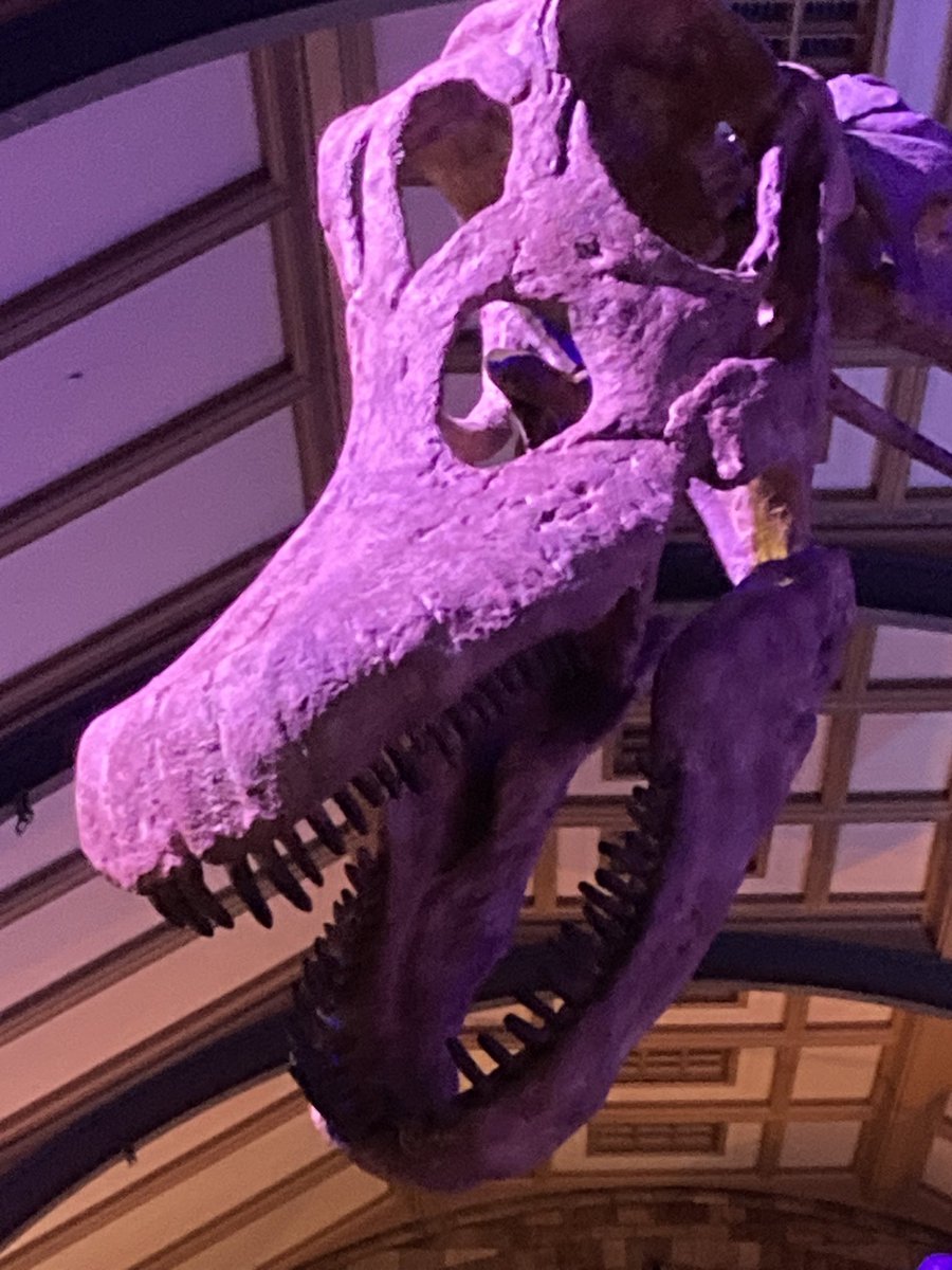 Scott McDonald tweet media