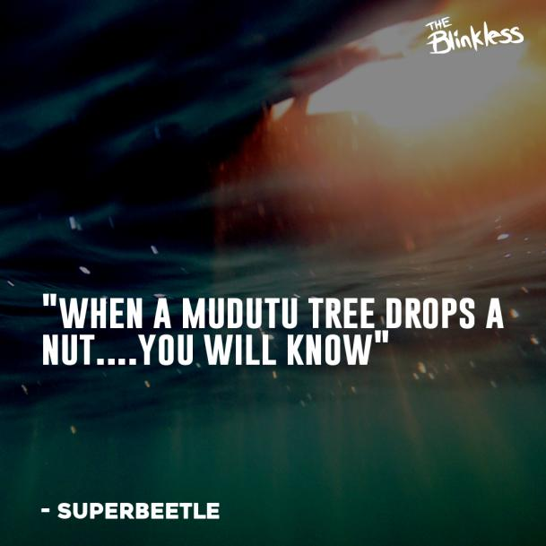 <a href="/theblinkless/">The Blinkless</a>