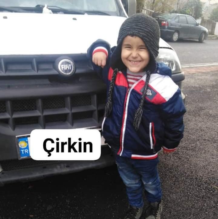 Songül Rıza Yıldız tweet media