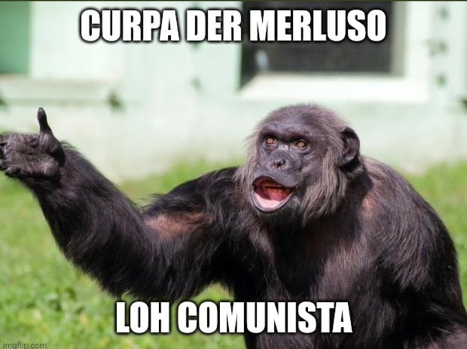 Manuel Vidal Diaz tweet media