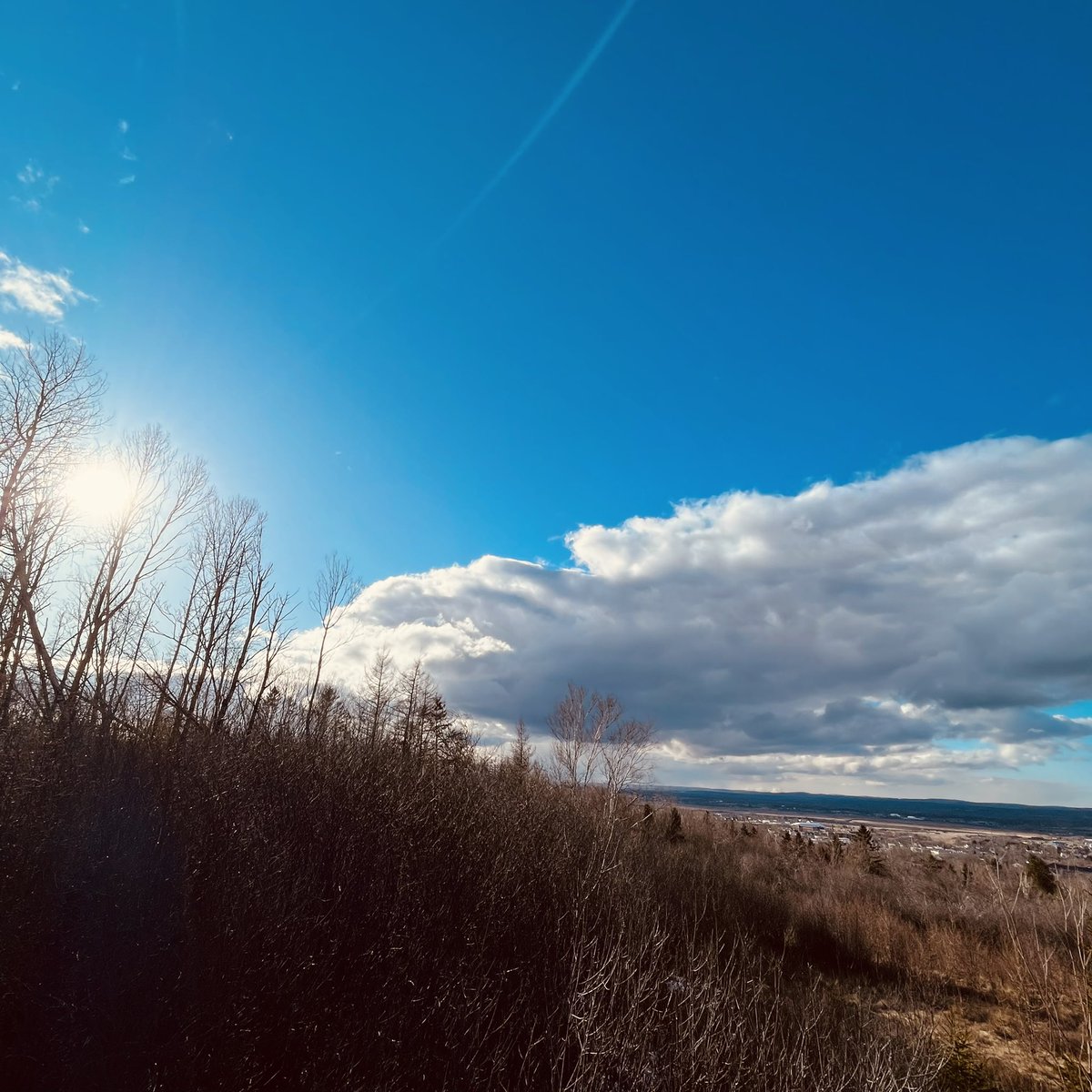Wednesday walking 🚶🏾‍♂️ #strava