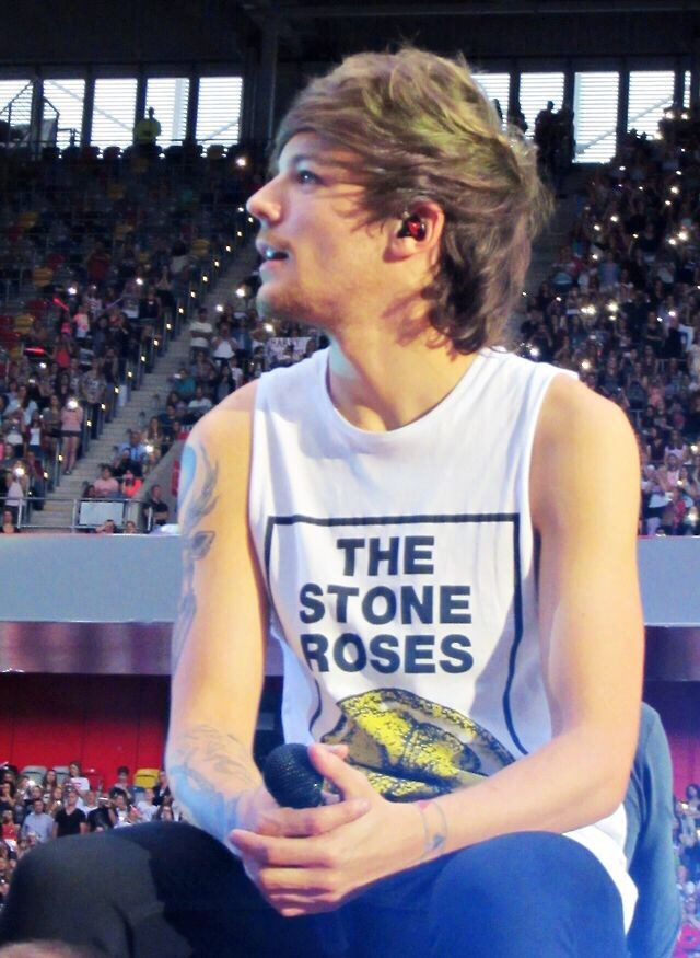 louis hedgehog (@lhdgehog) on Twitter photo 