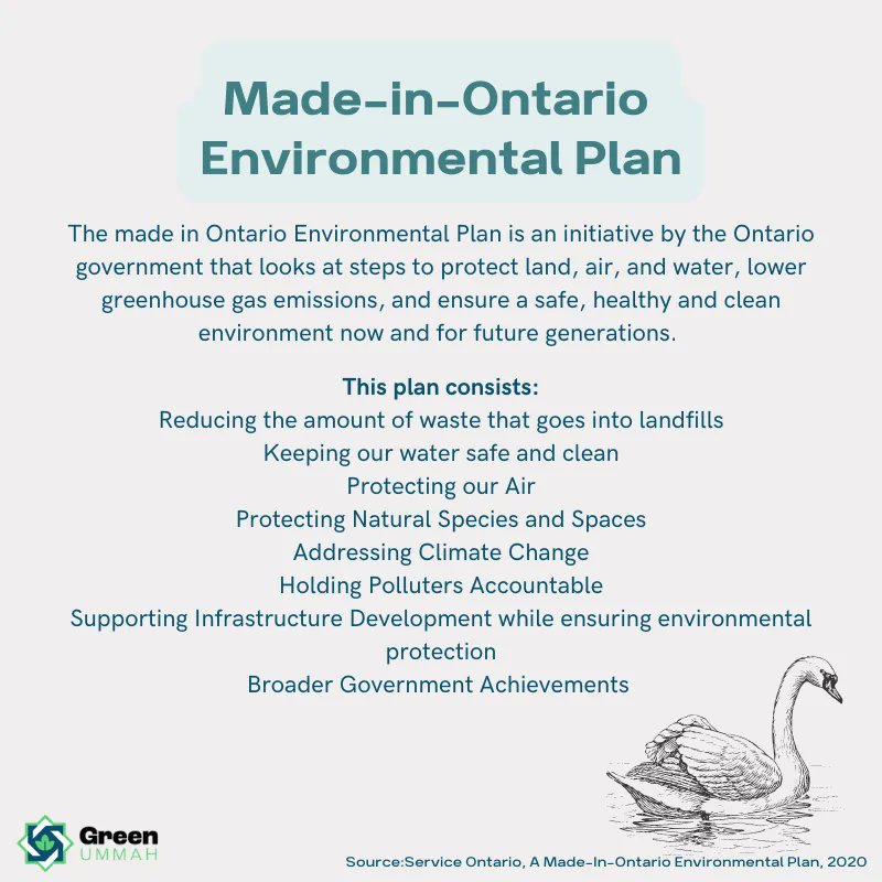 greenummah's tweet photo. Here are THREE Provincial Acts and Policies (Ontario) that you should watch out for in the near future!
What are your thoughts? Which are you most excited for?
#greenramadan #greenummah #onpolicy #greenpolicy https://t.co/heLLFkMVxw