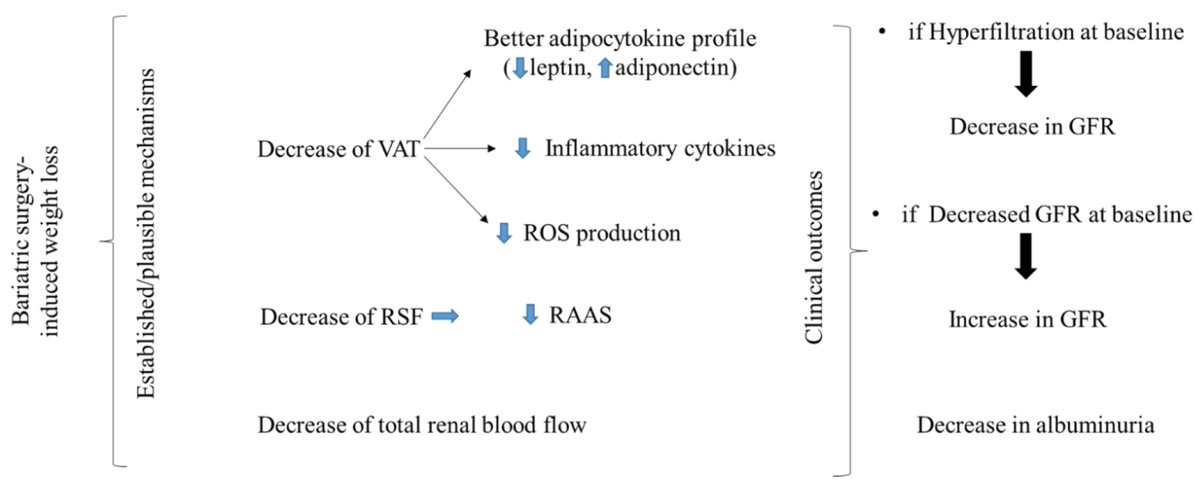diego_moriconi's tweet photo. The Beneficial Effects of Bariatric-Surgery-Induced Weight Loss on Renal Function
https://t.co/dzGojlFtU1 #mdpimetabolites via @MDPIOpenAccess
#adiponectin #RAAS #hyperfiltration #leptin #nephrology https://t.co/7YAw4JYEKG