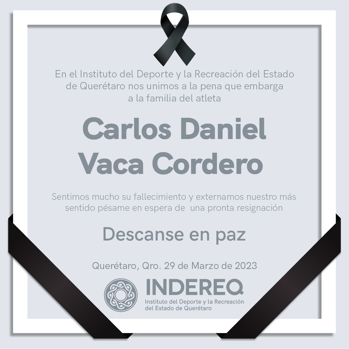 INDEREQ (@indereq_) on Twitter photo 