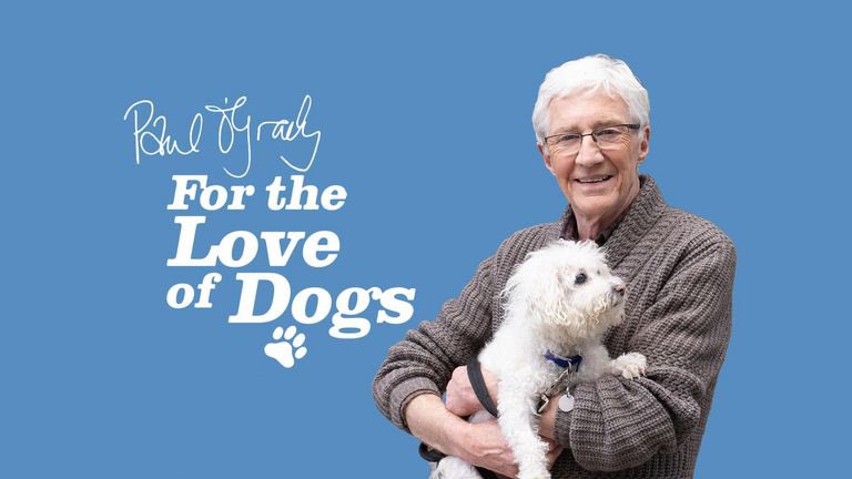 GaryMGoodman's tweet photo. RIP Paul 🐶 such a sad loss https://t.co/6JPUP5UCdE