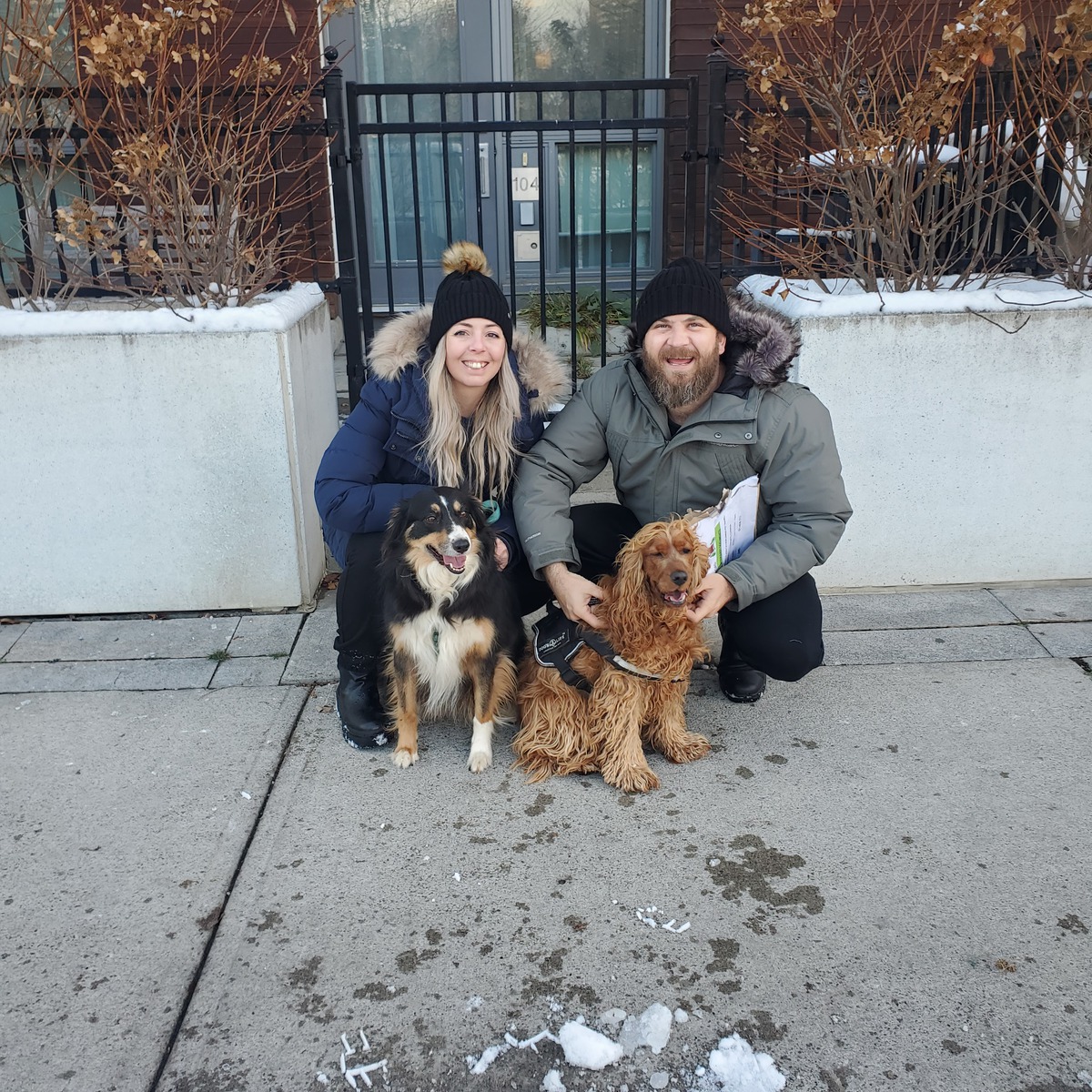 WILLOW &amp; MAISIE had a very happy reunion with their humans after traveling from South Africa to Toronto. 

animaltravel.com

looking to relocate? Head to our website to learn more and contact us if you're relocating to or from Canada. 

#dogsofig #dogs #vancouver
