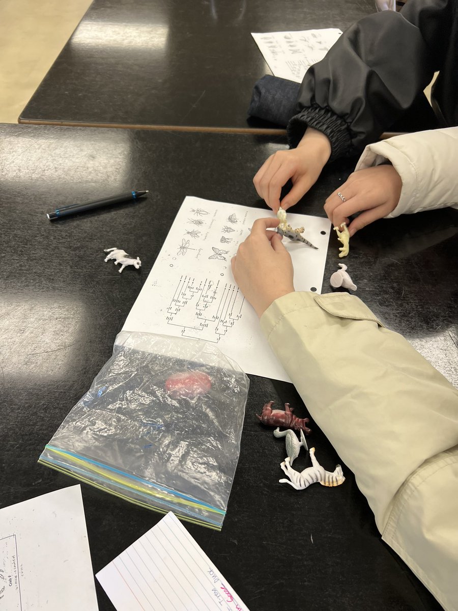 Aliisa Sarte (@asarte12) on Twitter photo Everyone needs a few minutes to play before making a dichotomous key for their toy animals! #ibbio #playandlearn <a href="/PMSS_Science/">Port Moody Secondary Science</a> Everyone needs a few minutes to play before making a dichotomous key for their toy animals! #ibbio #playandlearn <a href="/PMSS_Science/">Port Moody Secondary Science</a>