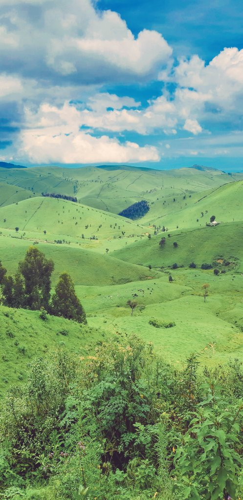 JustinNsengima's tweet photo. Aha Ni mu Karere ka @NgororeroDistr akarere gafite igice kinini cy'inzuri za #Gishwati,Ahantu heza ureba imirambi Ni bibaya ntuheze amaso.@visitrwanda_now #Muhandasector @RDBrwanda @IngabireImma @IGIHE @rbarwanda @Imvaho_Nshya @AMadjid78 @DrMumbogoS https://t.co/w4pFNi5gOh