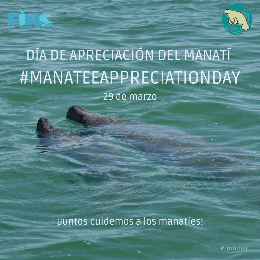 FINS_Conservation tweet media