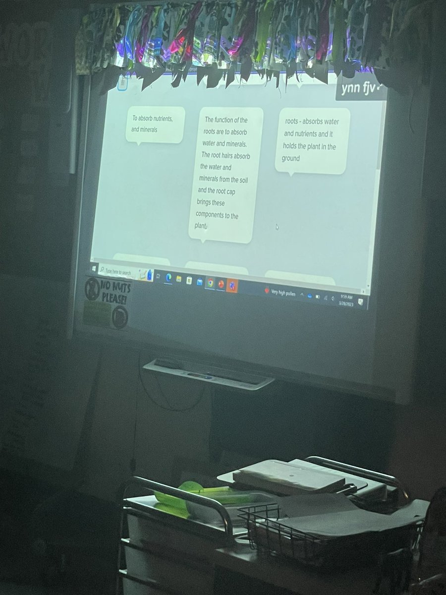 📣 Ms. McNary did an 🎉awesome job using @PearDeck to engage students while they learned about the anatomy of #plants 🪴in #Agriculture.  @NorthForestHigh #instructionaltechnology #PowerUp