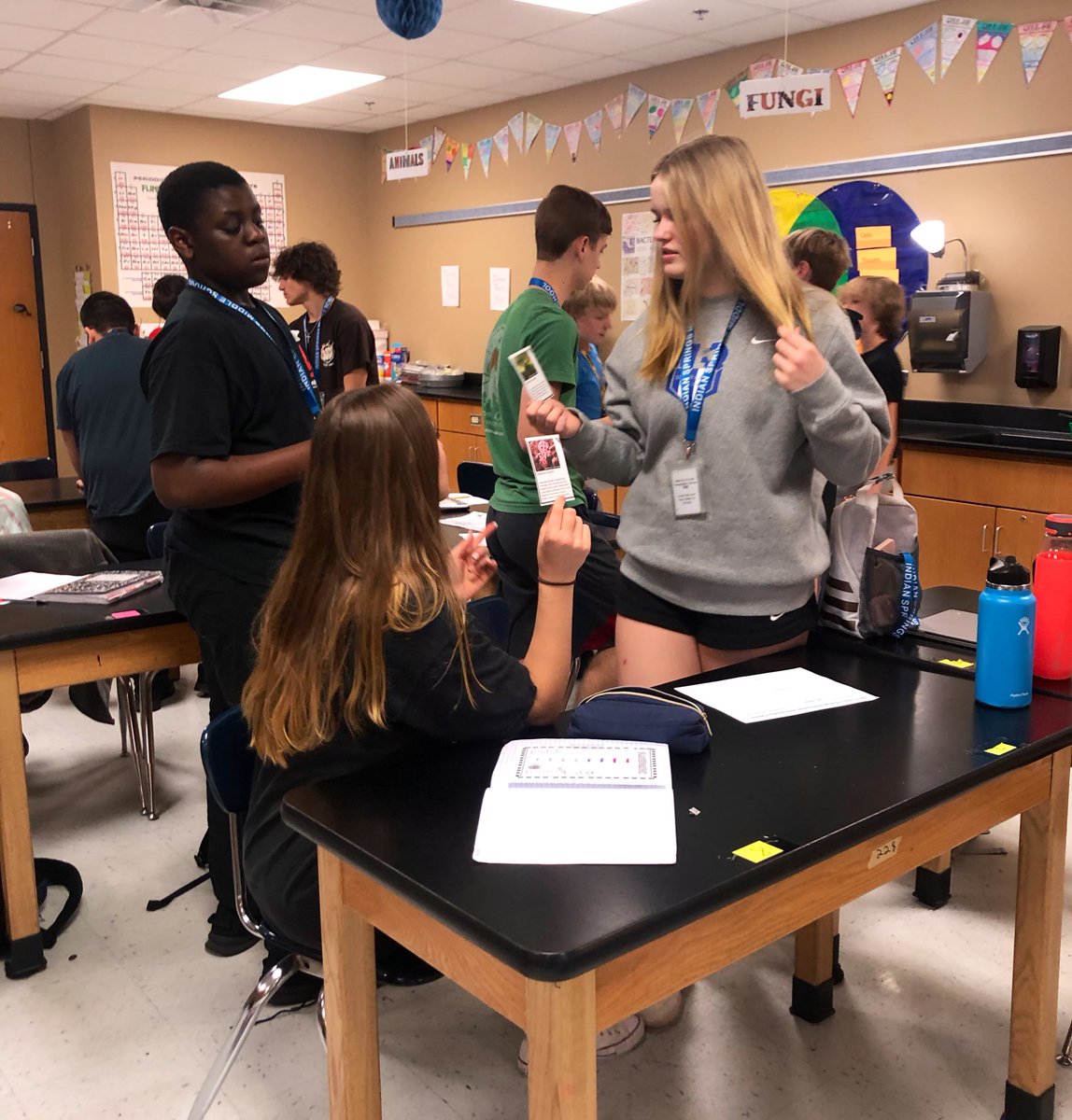 Diana Mitchell tweet media