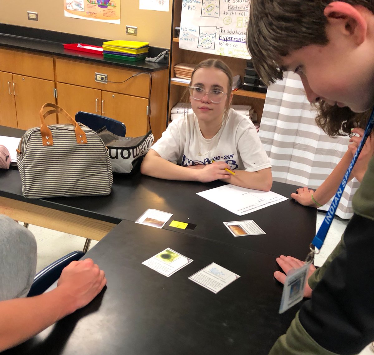 Diana Mitchell tweet media