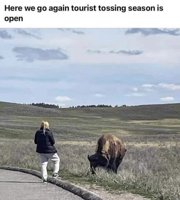 Stop. No. Wait. Please come back.