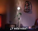 Viteri_BelenEc's tweet photo. ÚLTIMA HORA 
Es oficial La Corte Constitucional da luz verde al juicio político a Guillermo Lasso. 6 a 3 🥹
Los ecuatorianos: https://t.co/gaDNxxgtlM