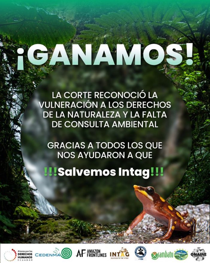 Ganamos ‼️ 🟢 La <a href="/CorteImbabura/">Corte Provincial de Justicia de Imbabura</a> reconoció la vulneración de derechos humanos, derechos de la naturaleza y la falta de consulta ambiental. #SalvemosIntag💚
<a href="/EFEnoticias/">EFE Noticias</a> <a href="/AFPespanol/">Agence France-Presse</a> <a href="/infobae/">infobae</a> <a href="/MongabayLatam/">Mongabay Latam</a> <a href="/wambraEc/">Wambra Medio Comunitarioᅠ</a> <a href="/revistaPlanV/">Plan V</a> <a href="/radio_pichincha/">Radio Pichincha</a> <a href="/ecuainm_oficial/">Ecuadorinmediato</a> <a href="/elcomerciocom/">El Comercio</a>