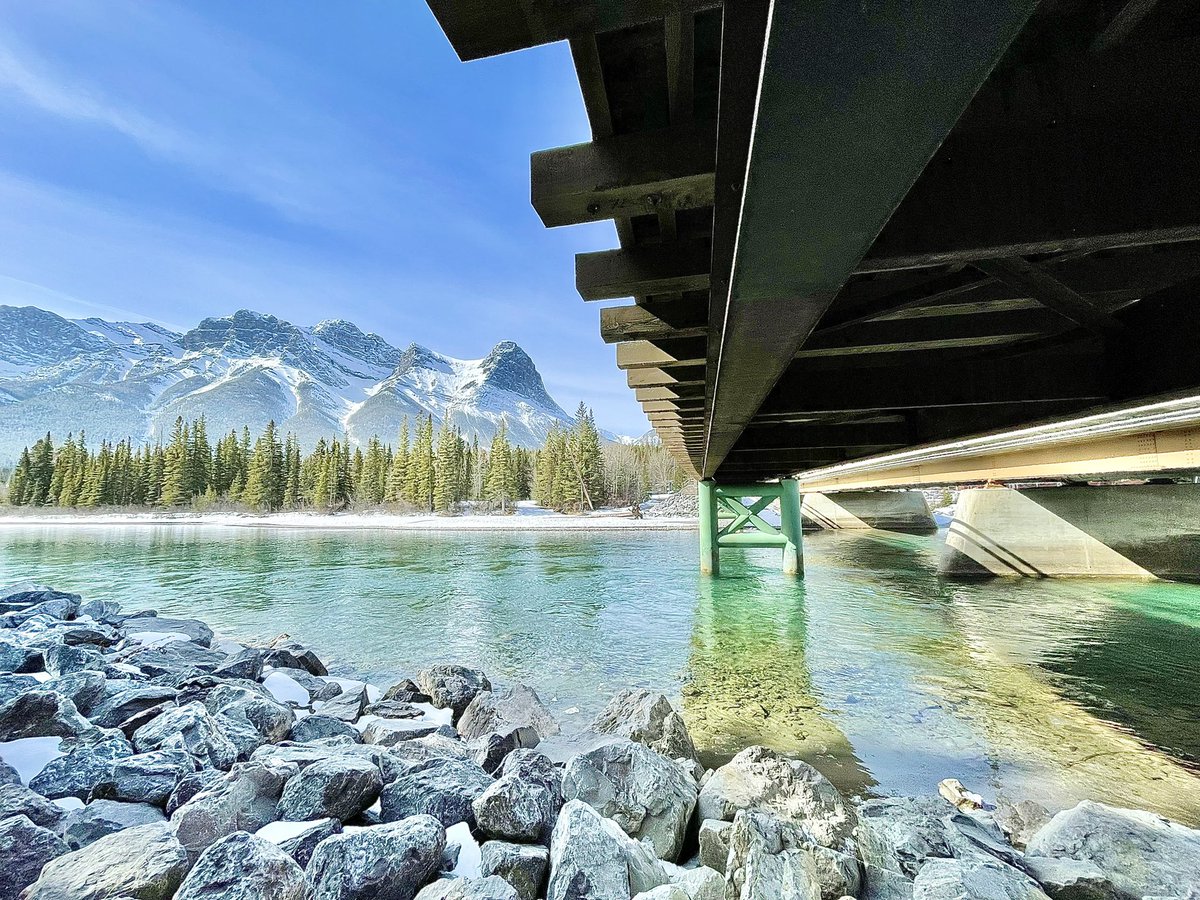 2crit2quit's tweet image. 🌿🏔️🦌
#canmore #naturecheck