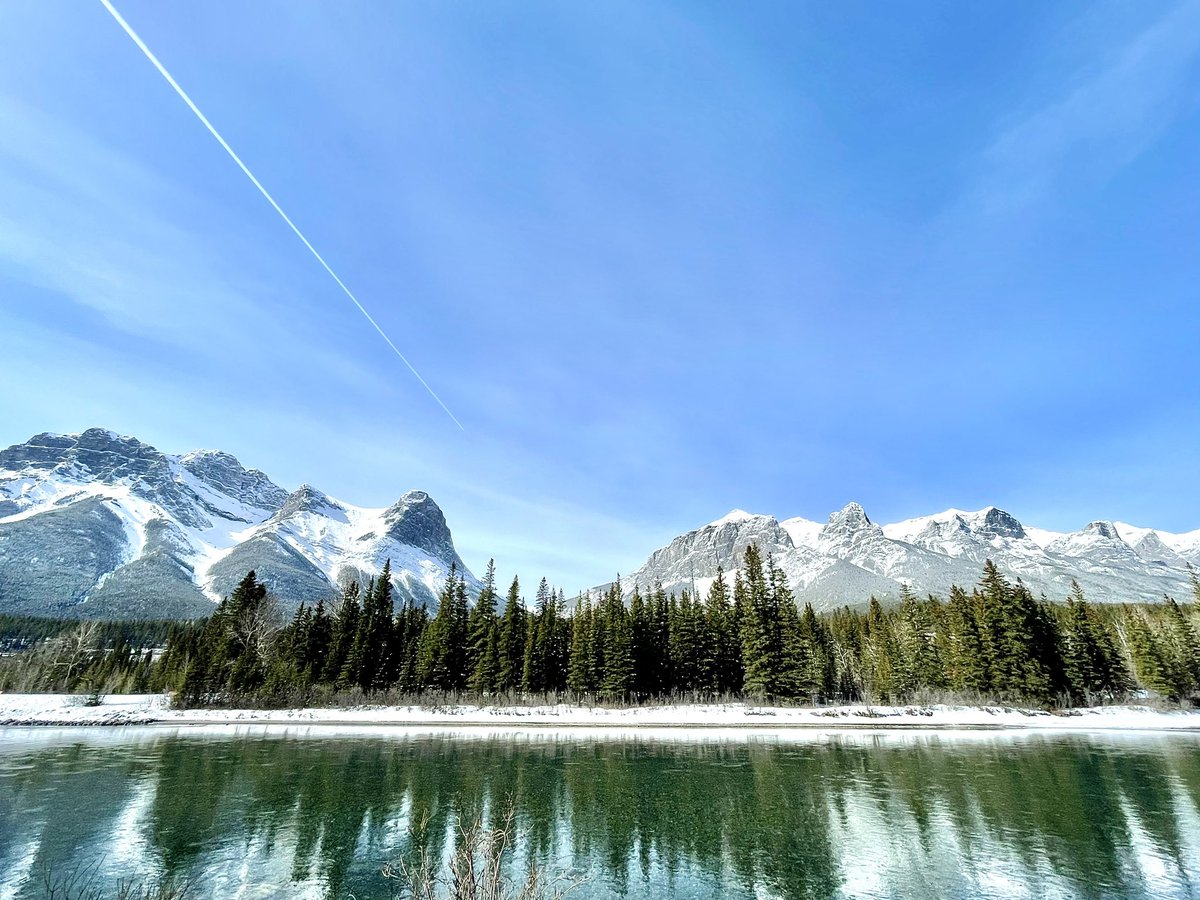 2crit2quit's tweet image. 🌿🏔️🦌
#canmore #naturecheck