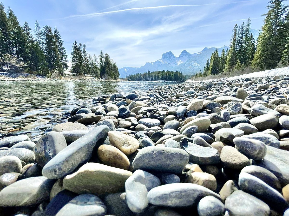 2crit2quit's tweet image. 🌿🏔️🦌
#canmore #naturecheck