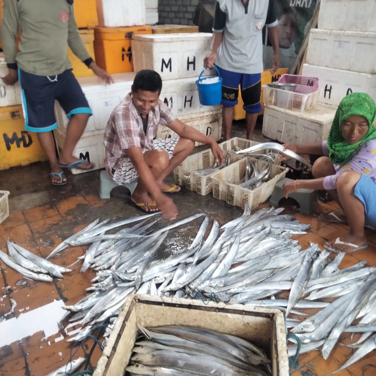 Selasa(14/03),Faizah Luhkan Pamekasan, Desa Padelegan Melaporkan hasil produksi nelayan a.n Amirullah,Maret 2023, alat tangkap Payang, Layur 31kg hrg 45rb/kg, Teri Nasi 36kg hrg 33rb/kg
#GiatLuhkanSatminkalBWI 
#Pmkasan
#Tangkap
@puslatluhkp @bppp_banyuwangi @brsdm_kp