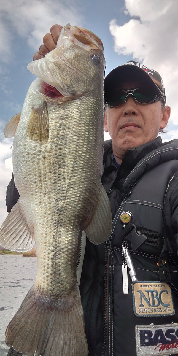 ハタケカカシ tweet media