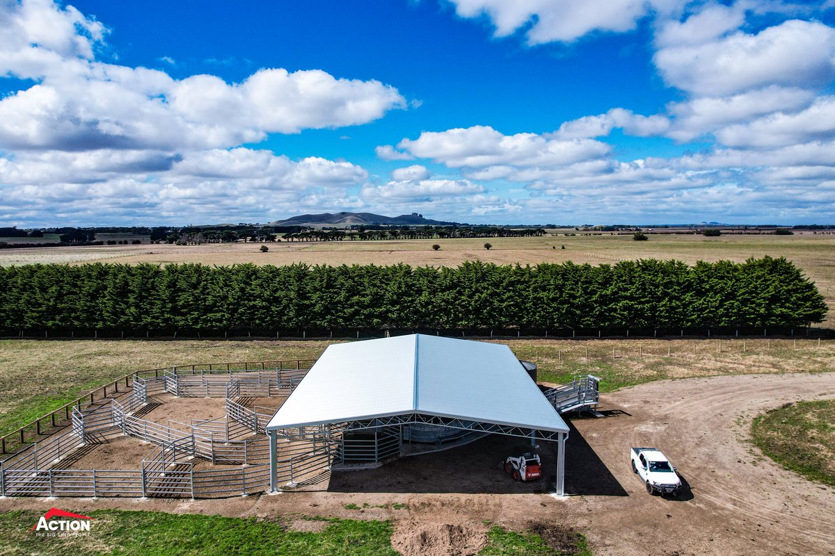 ActionSteel's tweet photo. A recently completed 25.5m x 18m x 4m cattle yard cover. 👌

📍 Kolora VIC

#ActionSteel #BigSheds #cattle #cattleyards https://t.co/iV1APvVZa8