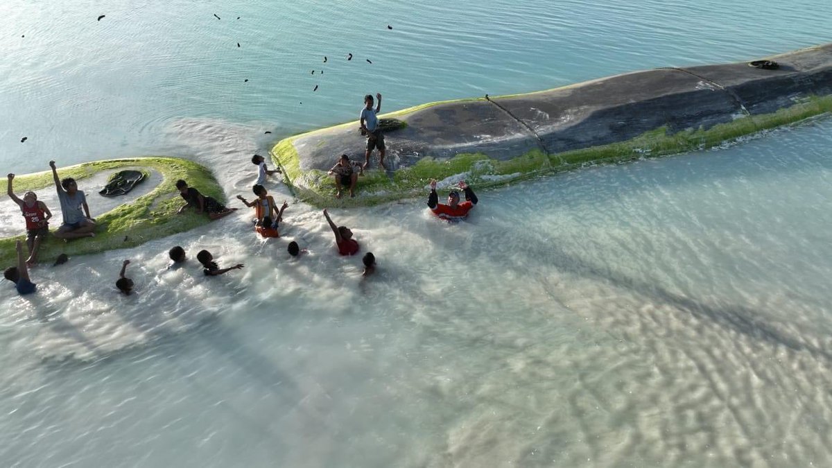 TCAP4Tuvalu's tweet photo. The #TCAP team, #HallContracting and even some of the local kids are doing this as the reclamation expands. Sea cucumbers are picked up from behind the megabags and relocated into the lagoon.
#UNDP #HallContracting #TCAP #theGCF #ClimateAction https://t.co/9ioiwoJBLO
