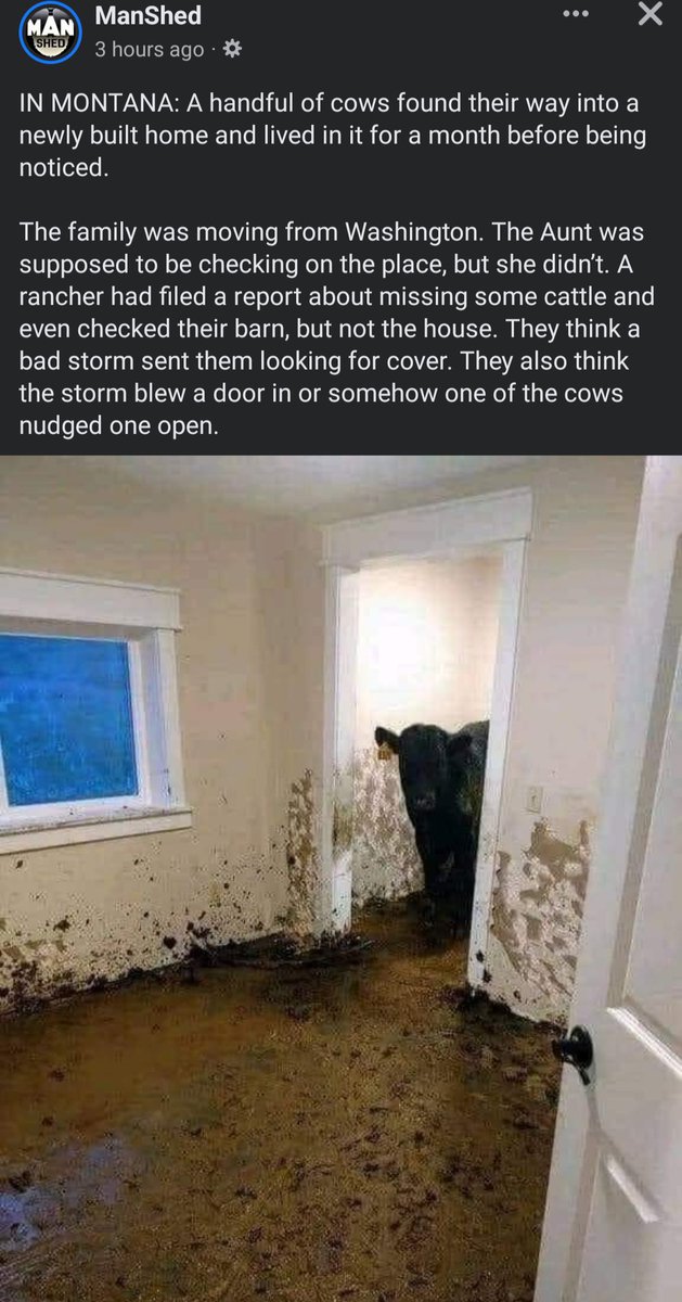 π΅ππ Ζ·π½π―βοΈπ΄ (@jaythird) on Twitter photo Immediately thought of you <a href="/OmarGoshTV/">OmarGoshTV</a> and Safe Haven Ranch when your animals would go in your house lol. Immediately thought of you <a href="/OmarGoshTV/">OmarGoshTV</a> and Safe Haven Ranch when your animals would go in your house lol.